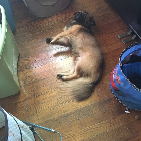 I'm Sarah your usual broke college student. Help. - Picture 6 of 7